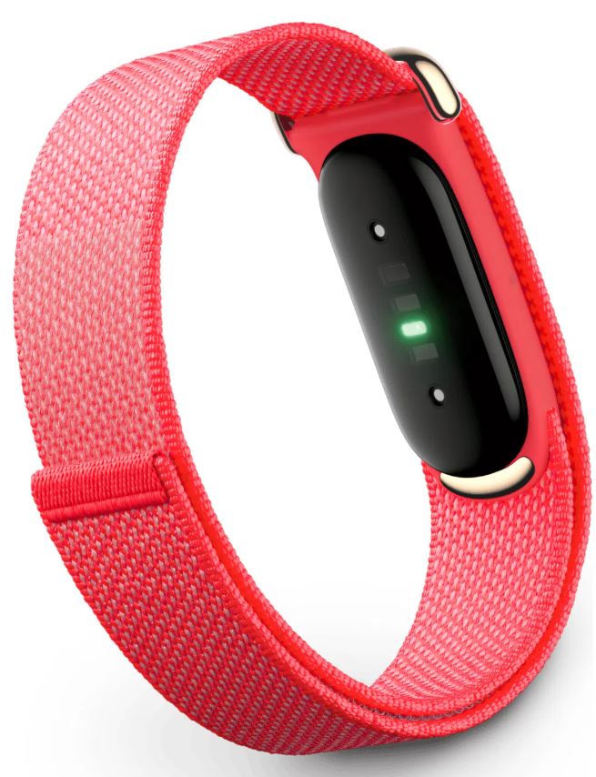 Google Fitbit Air, Berry