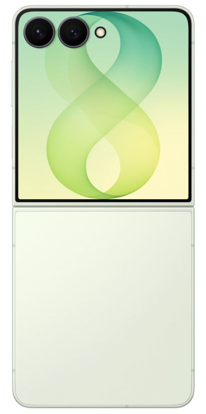 Samsung Galaxy Z Flip8 12/256 ГБ, зеленый
