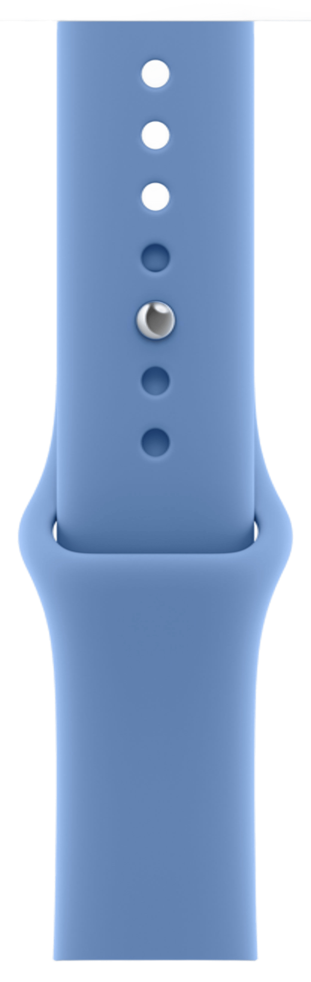Apple Watch Series 12 42mm Light Gold Aluminum Case with Sport Band Wildflower Blue
