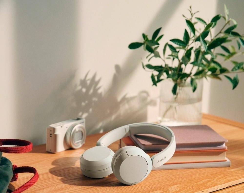 Беспроводные наушники Sony WH-CH520, White