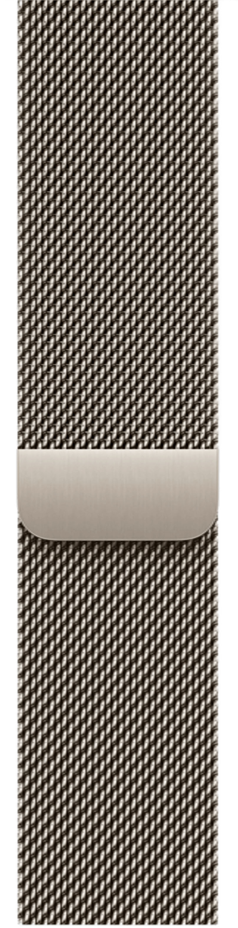 Apple Watch Series 11 46mm Natural Titanium Case with Milanese Loop Natural