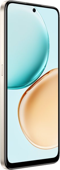 HONOR X7d 8/256 ГБ, золотой
