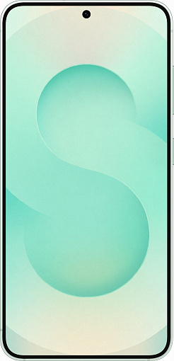 Samsung Galaxy S25 12/512Gb Dual Sim, мятный (SM-S9310)