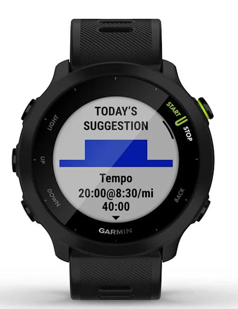 Garmin Forerunner 55, черный (010-02562-14)
