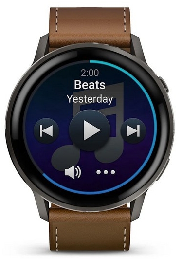 Garmin Venu 4 45mm Slate with Black Silicone Band and Brown Leather Band (010-03014-03)