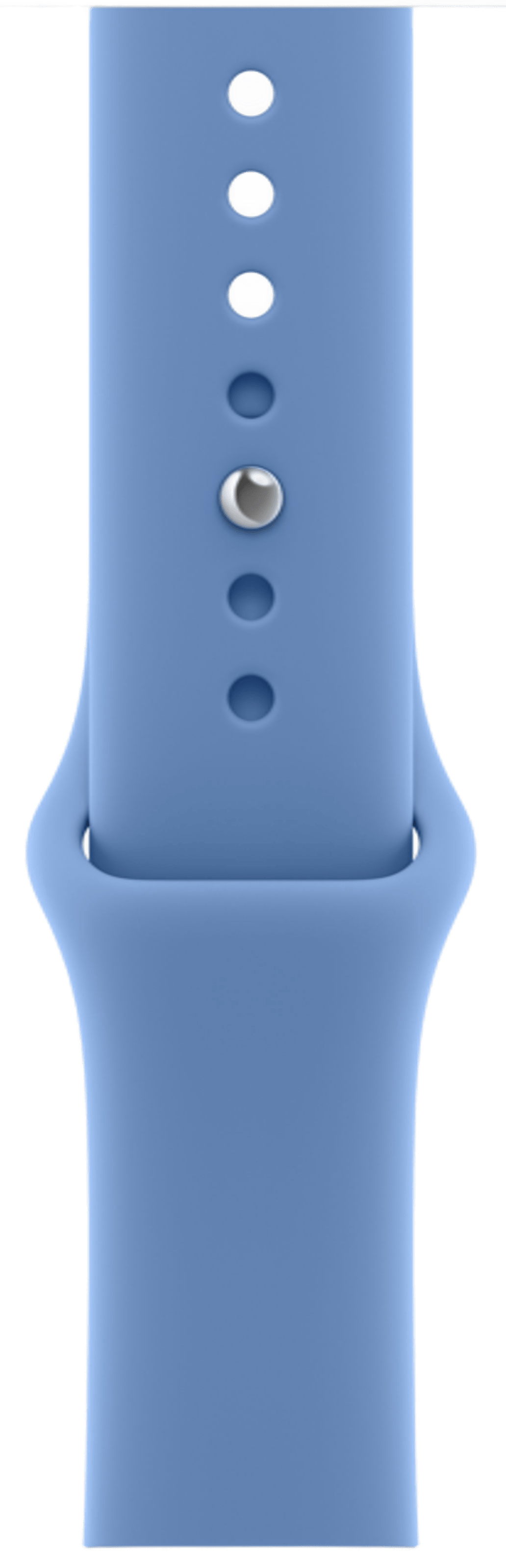 Apple Watch Series 12 42mm Dark Bronze Aluminum Case with Sport Band Wildflower Blue