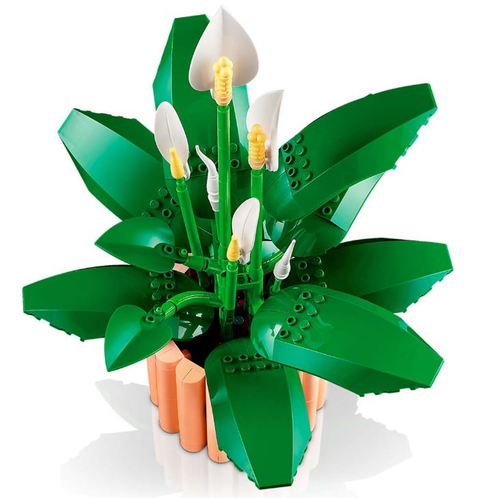 LEGO Botanicals 11504 Спатифиллум