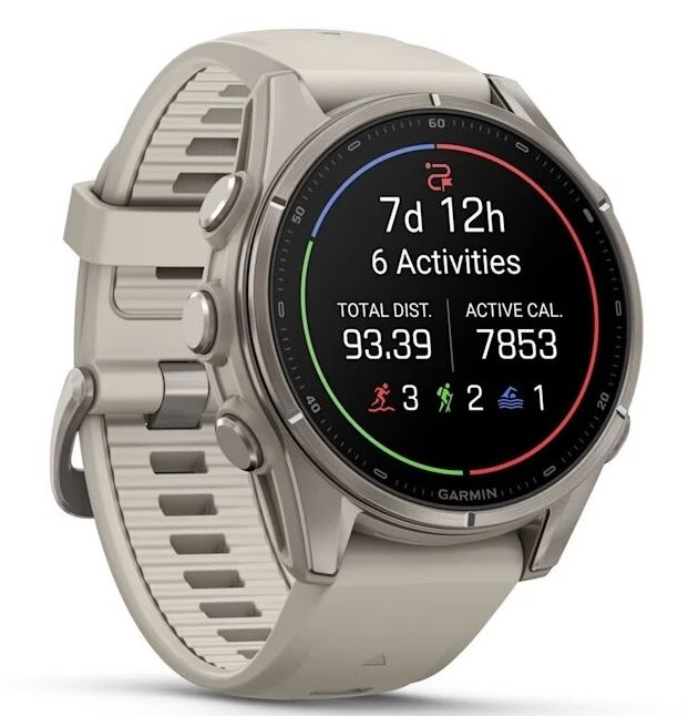 Garmin Fenix 9 AMOLED 43мм Titanium with Fog Grey Silicone Band (010-04761-01)