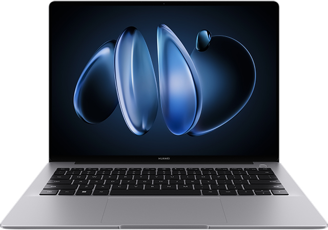 Ноутбук Huawei MateBook 14 2024 FLMH-X (Intel Core Ultra 5 125H, Intel Arc Graphics) 32ГБ, 1ТБ SSD, noOS, серый (53014MTV)