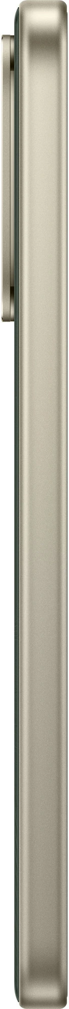 Смартфон Xiaomi Redmi 17 6/128 ГБ, зеленый