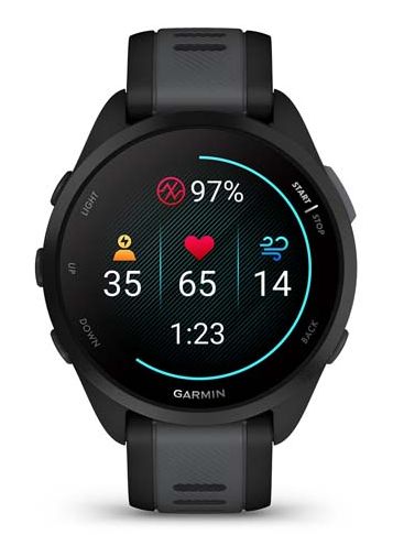 Garmin Forerunner 165, Black/Slate Gray (010-02863-AC)
