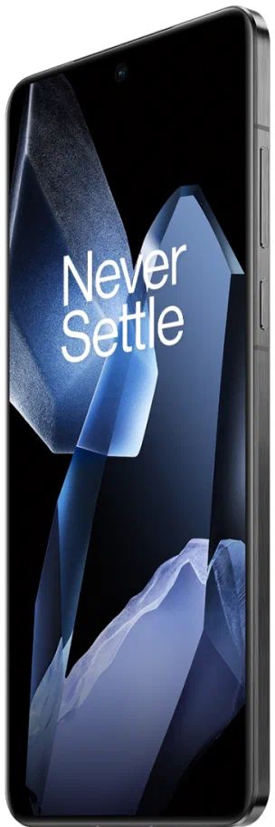 OnePlus 13 24/1Тб, черный (Black Eclipse)
