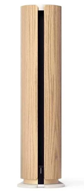 Bang & Olufsen Beosound Emerge, Gold Tone