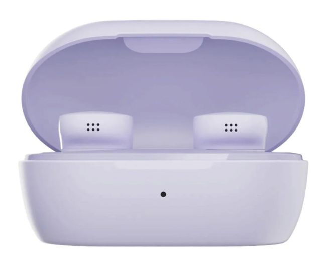 Bose QuietComfort Earbuds 5V, фиолетовый (Chilled Lilac)