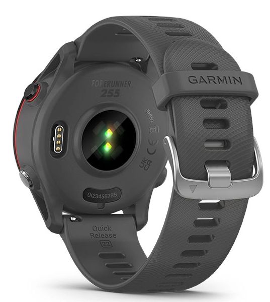 Garmin Forerunner 255, Slate Grey (010-02641-41)