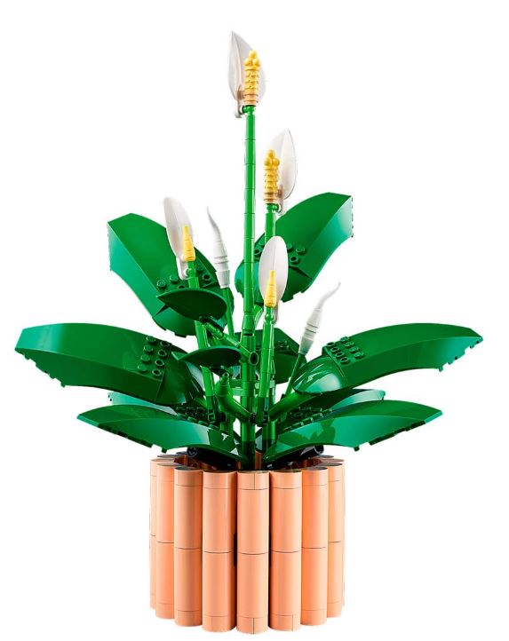 LEGO Botanicals 11504 Спатифиллум