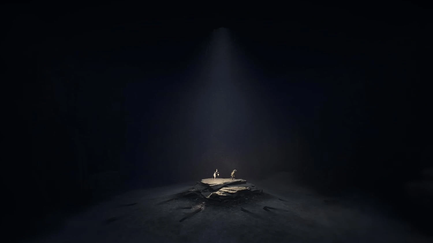 Игра Reanimal для Nintendo Switch 2