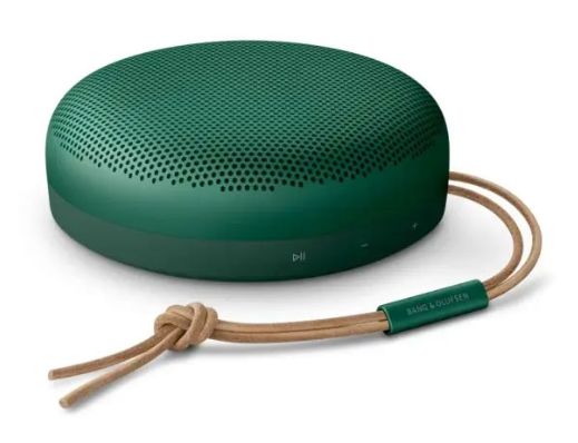 Bang & Olufsen Beosound A1 2nd Gen, зеленый