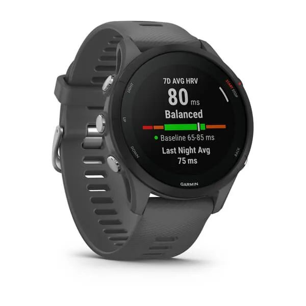 Garmin Forerunner 255 Slate Gray (010-02641-10)