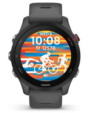 Garmin Forerunner 255, Slate Grey (010-02641-41)