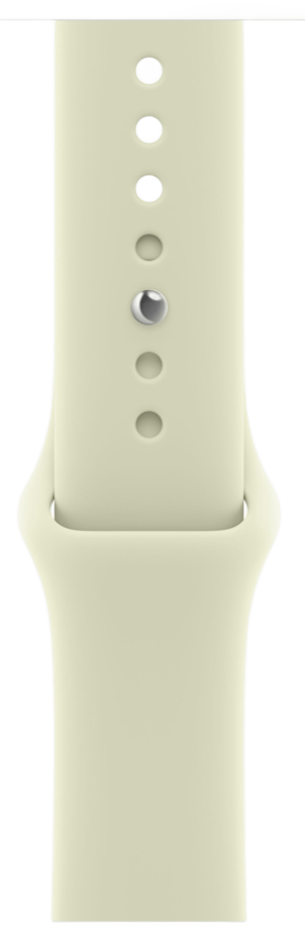 Apple Watch Series 12 42mm Space Gray Aluminum Case with Sport Band Pale Succulent