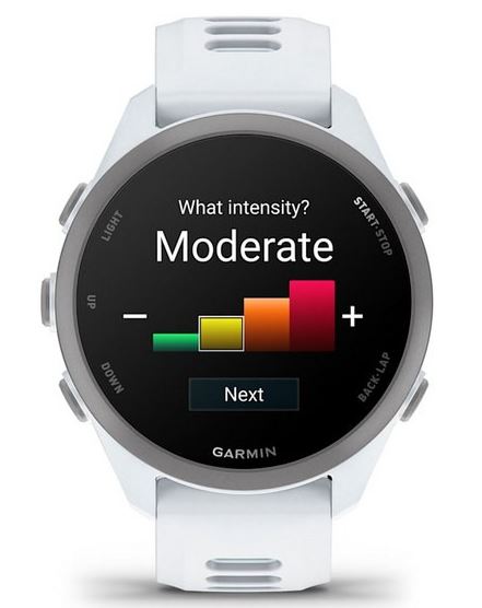 Garmin Forerunner 170 Music, Whitestone with Whitestone/Cloud Blue Band (010-03920-11)