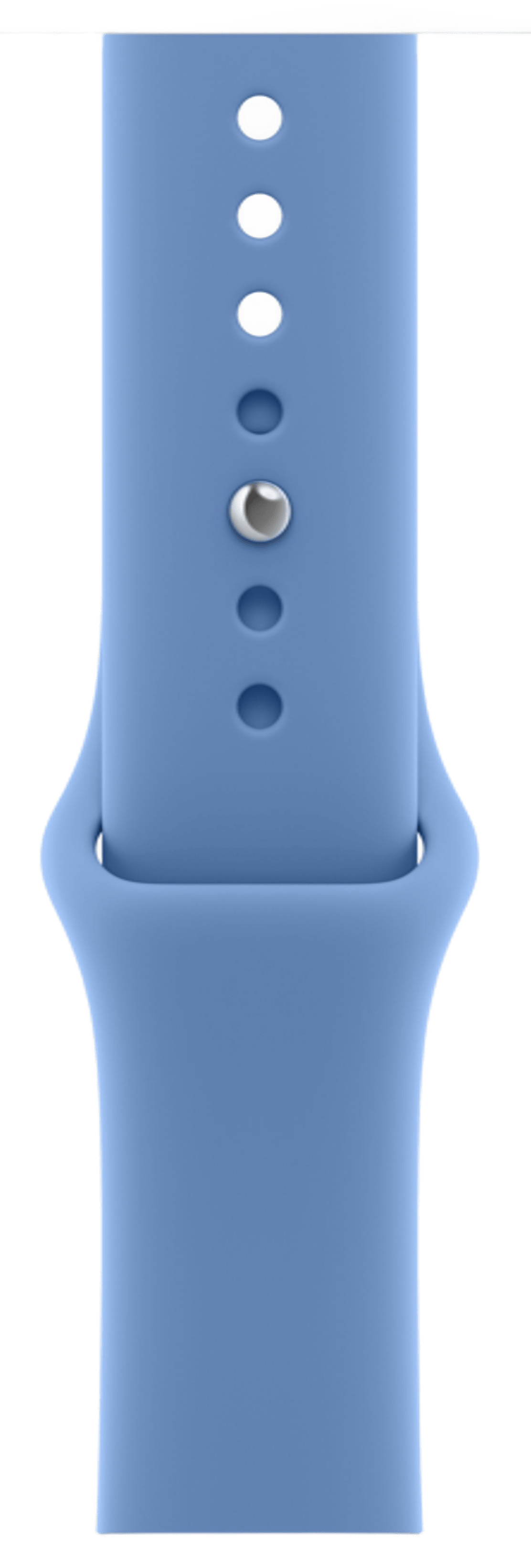 Apple Watch Series 12 42mm Space Gray Aluminum Case with Sport Band Wildflower Blue