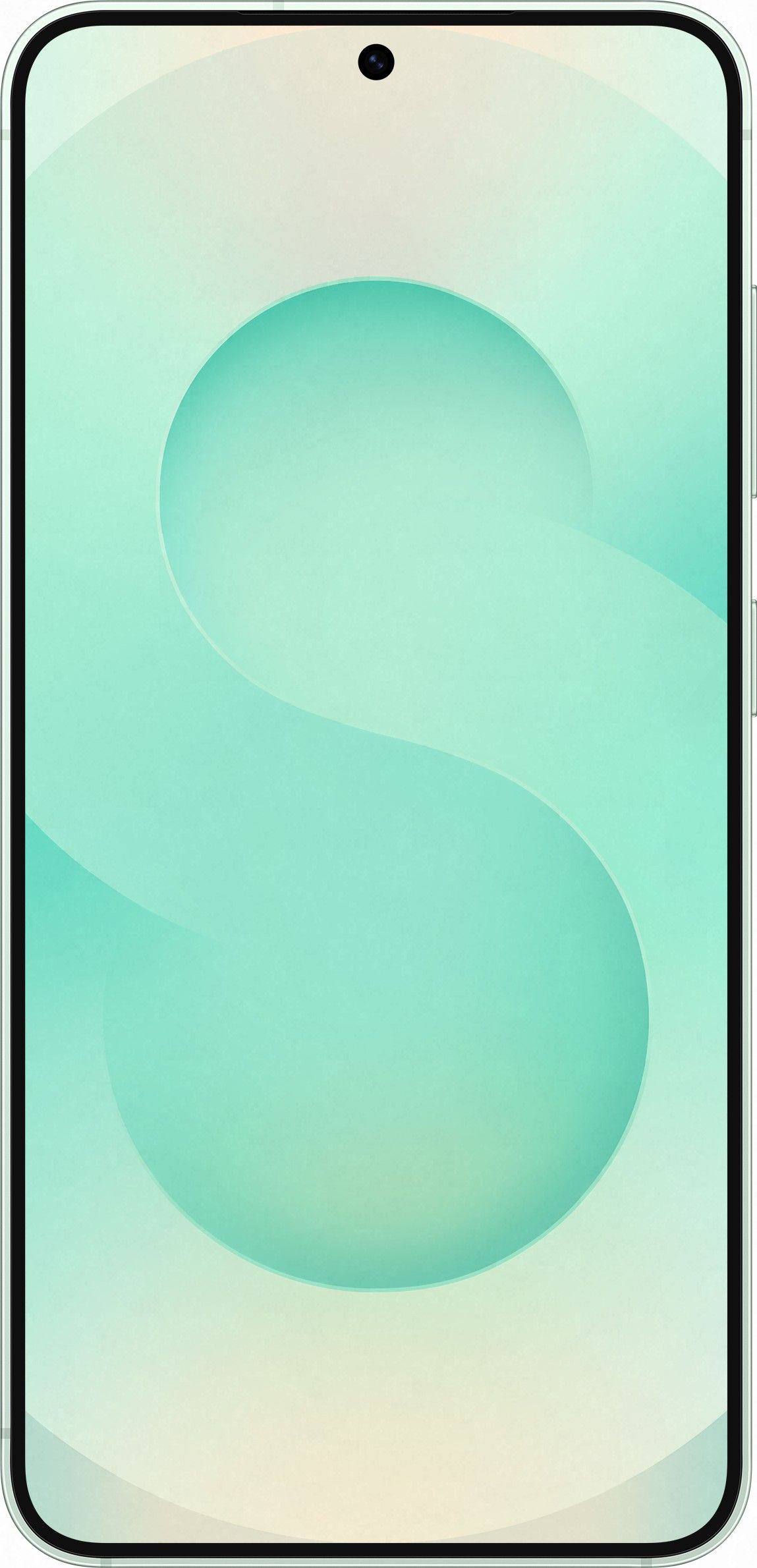 Samsung Galaxy S25 12/256Gb, мятный (SM-S9310)