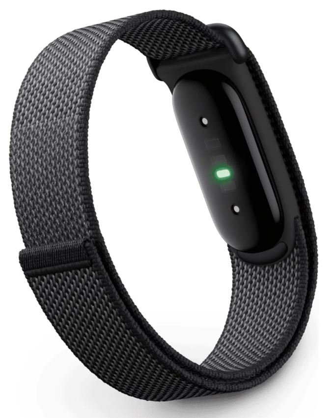 Google Fitbit Air, Obsidian