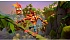 Игра Crash Bandicoot 4: Это Вопрос Времени для Nintendo Switch