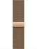 Apple Watch Series 10 46mm Aluminum Case with Milanese Loop