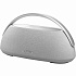 Портативная акустика Harman Kardon Go + Play 3