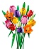 Конструктор LEGO Botanicals 11501 Букет тюльпанов