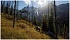 Way of the Hunter PS5, русские субтитры