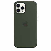Силиконовый чехол MagSafe для iPhone 12 Pro Max (Зеленый)