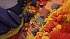 Игра Asterix&Obelix XXXL: The Ram From Hibernia для PlayStation 5