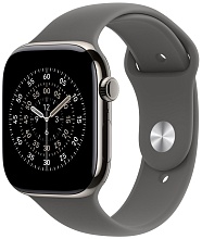 Ремешок Apple Watch 46мм Stone Gray Sport Band - M/L (MXLY3FE/A)