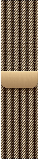 Умные часы Apple Watch Series 12 42mm Titanium Case with Milanese Loop