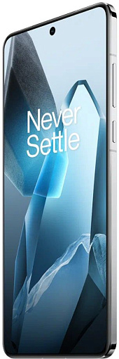 Смартфон OnePlus 13 12/256