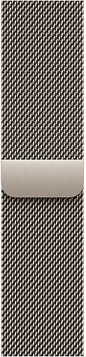 Умные часы Apple Watch Series 12 42mm Titanium Case with Milanese Loop