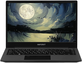 Inferit Enox 14.1" (Intel Core i5 10210U, Intel UHD Graphics) 8ГБ, 256ГБ SSD, noOS, черный (IFLTSI5INM)
