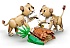Конструктор LEGO Creator 31386 Величественный лев