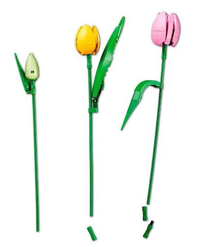 Конструктор LEGO Botanicals 11501 Букет тюльпанов