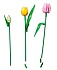Конструктор LEGO Botanicals 11501 Букет тюльпанов