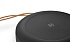 Портативная колонка Bang & Olufsen Beosound A1 2nd Gen