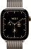 Умные часы Apple Watch Series 12 46mm Titanium Case with Milanese Loop