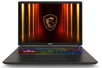 MSI Vector 16 HX AI A2XWJG (Intel Ultra 9 275HX, NVIDIA GeForce RTX 5090) 32ГБ, 1ТБ SSD, noOS, черный (9S7-15M352-619)