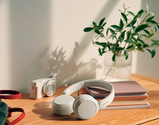 Беспроводные наушники Sony WH-CH520