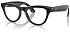 Умные очки Ray-Ban Meta Skyler RW4010