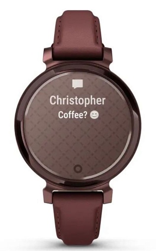 Умные часы Garmin Lily 2 Classic